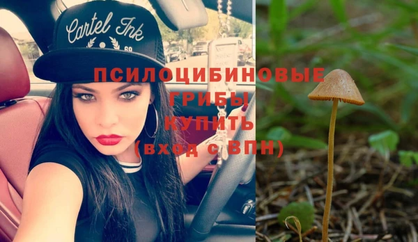 не бодяженный Баксан
