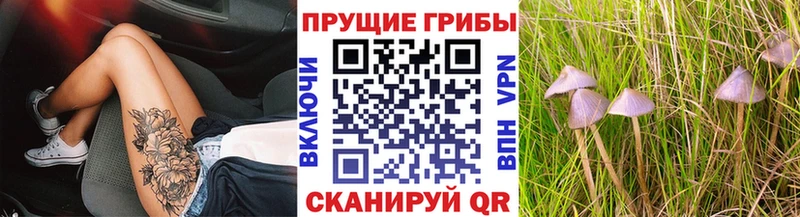 Псилоцибиновые грибы мицелий  Нязепетровск 